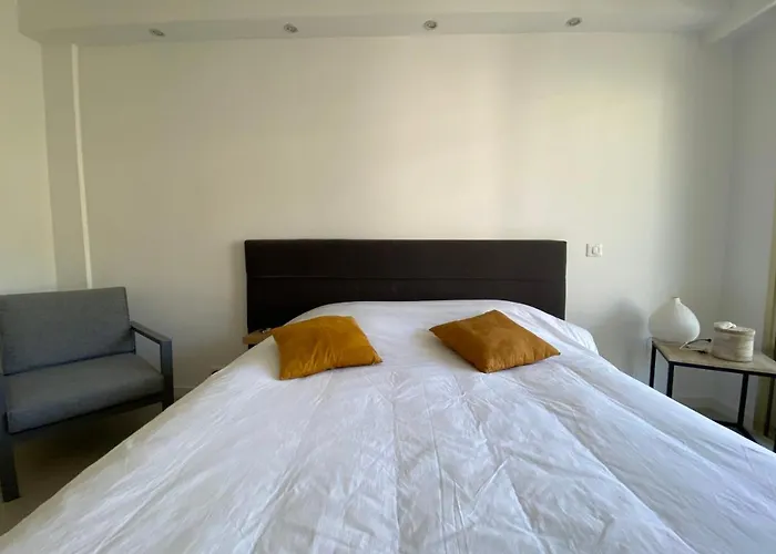 Exceptional Center Sea View And Swimming Pool Live In Parc Bruyere Cannes