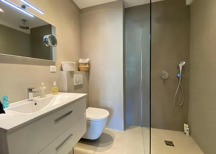 Exceptional Center Sea View And Swimming Pool Live In Parc Bruyere Daire